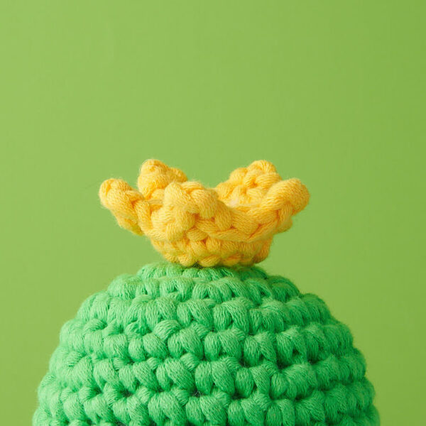 220729-Woobles0057.jpg Tiny Crown Accessory Kit