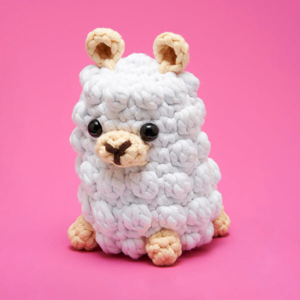 22LMA-GertrudeTheLlama-FW-MP11-WEB_1_f32a4a62-95ee-4bee-90b0-3c06a339378b-1.jpg The Slow and Steady Bundle