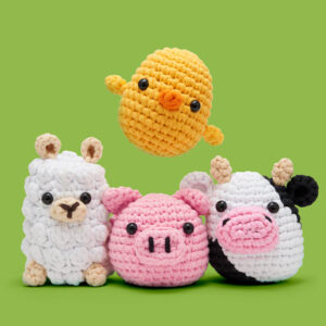 Poquita Chickita Accessory Kit