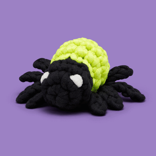 99SPI-TinySpider-FW-VT1-GIF.gif Eerie-sistibly Woobly Haunted House Box